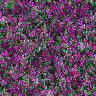 Textures 336